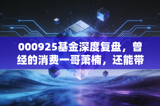 000925基金深度复盘,曾经的消费一哥萧楠,还能带我们重回巅峰吗?