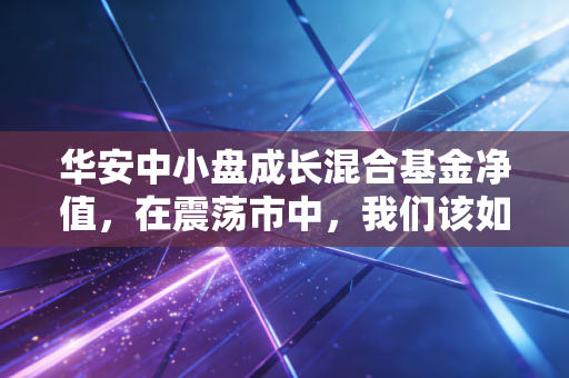 华安中小盘成长混合基金净值,在震荡市中,我们该如何理解中小盘的野性与希望