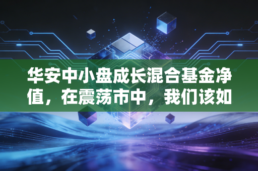 华安中小盘成长混合基金净值,在震荡市中,我们该如何理解中小盘的野性与希望