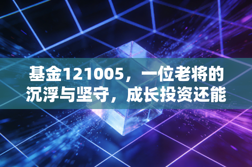 基金121005,一位老将的沉浮与坚守,成长投资还能信吗?