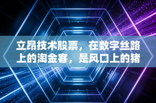 立昂技术股票，在数字丝路上的淘金客，是风口上的猪还是真材实料的实干家？