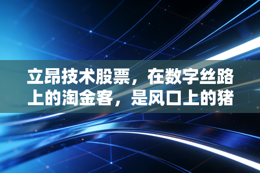 立昂技术股票，在数字丝路上的淘金客，是风口上的猪还是真材实料的实干家？