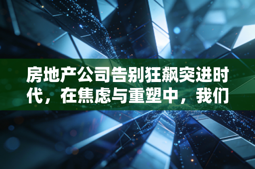 房地产公司告别狂飙突进时代,在焦虑与重塑中,我们该如何重新审视家的意义?
