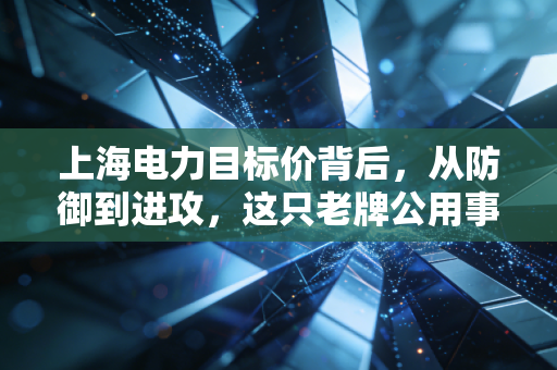 上海电力目标价背后，从防御到进攻，这只老牌公用事业股还能涨多高？