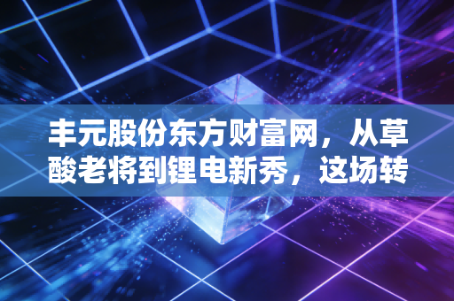 丰元股份东方财富网，从草酸老将到锂电新秀，这场转型豪赌到底值不值？