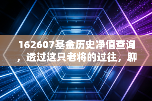 162607基金历史净值查询,透过这只老将的过往,聊聊普通人的基金投资心法