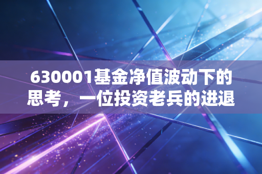630001基金净值波动下的思考，一位投资老兵的进退两难与未来展望