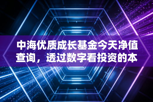 中海优质成长基金今天净值查询,透过数字看投资的本质与长期持有的智慧