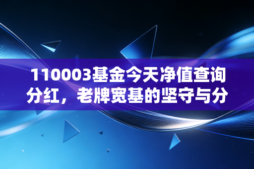 110003基金今天净值查询分红，老牌宽基的坚守与分红背后的投资哲学