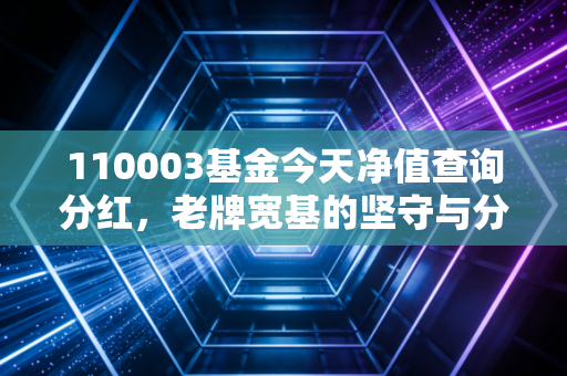 110003基金今天净值查询分红，老牌宽基的坚守与分红背后的投资哲学