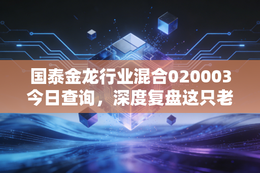国泰金龙行业混合020003今日查询,深度复盘这只老字号基金,它还能帮我们跑赢通胀吗?