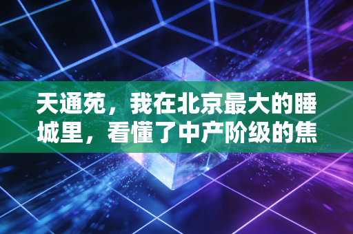 天通苑,我在北京最大的睡城里,看懂了中产阶级的焦虑与资产置换
