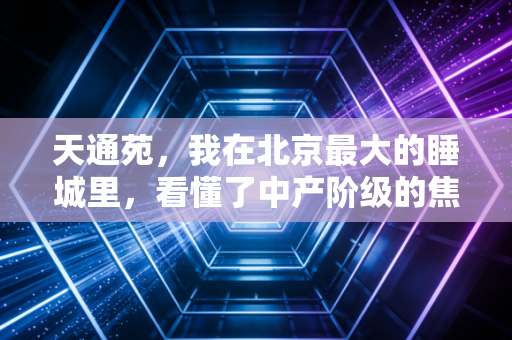 天通苑,我在北京最大的睡城里,看懂了中产阶级的焦虑与资产置换