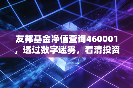友邦基金净值查询460001,透过数字迷雾,看清投资的长期价值