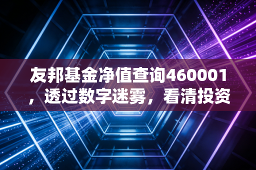 友邦基金净值查询460001,透过数字迷雾,看清投资的长期价值