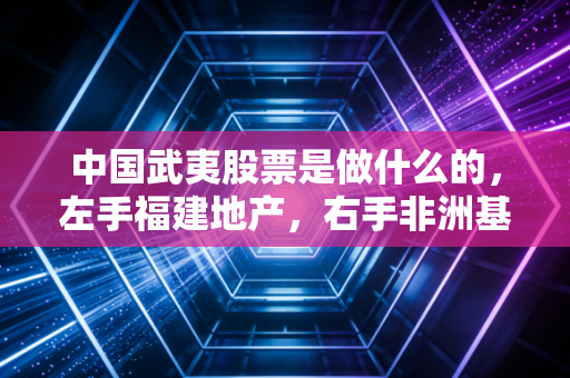 中国武夷股票是做什么的,左手福建地产,右手非洲基建的国企双面人生