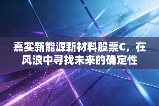 嘉实新能源新材料股票C，在风浪中寻找未来的确定性