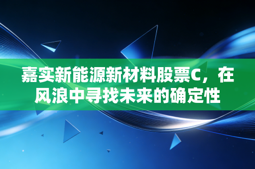 嘉实新能源新材料股票C，在风浪中寻找未来的确定性