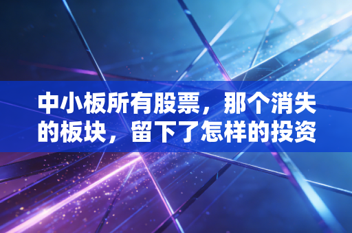 中小板所有股票，那个消失的板块，留下了怎样的投资启示？