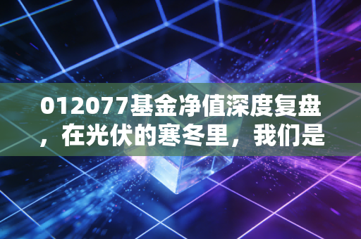 012077基金净值深度复盘，在光伏的寒冬里，我们是否还要坚持信仰？
