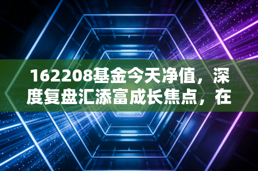 162208基金今天净值，深度复盘汇添富成长焦点，在震荡市中我们该如何安放焦虑？