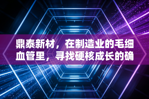 鼎泰新材，在制造业的毛细血管里，寻找硬核成长的确定性