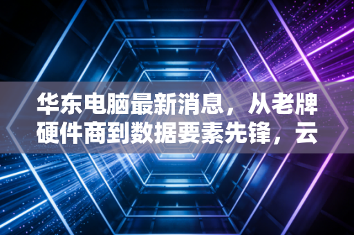 华东电脑最新消息，从老牌硬件商到数据要素先锋，云赛智联的转型之路还能走多远？