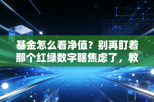 基金怎么看净值?别再盯着那个红绿数字瞎焦虑了,教你读懂背后的财富密码
