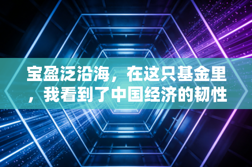 宝盈泛沿海，在这只基金里，我看到了中国经济的韧性与希望