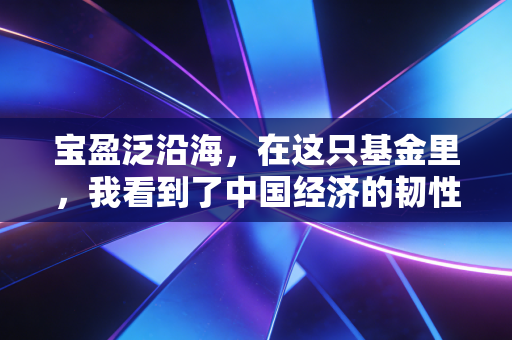 宝盈泛沿海，在这只基金里，我看到了中国经济的韧性与希望