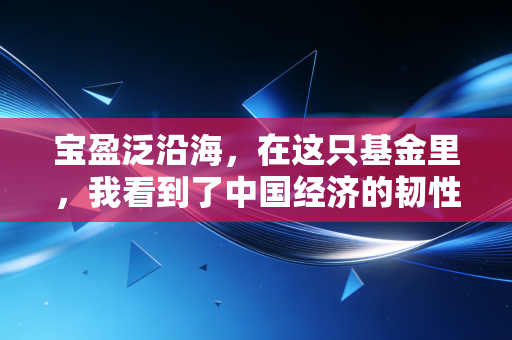 宝盈泛沿海，在这只基金里，我看到了中国经济的韧性与希望