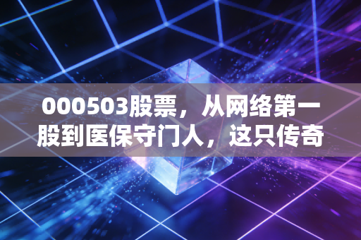 000503股票,从网络第一股到医保守门人,这只传奇代码的涅槃重生还是昙花一现?