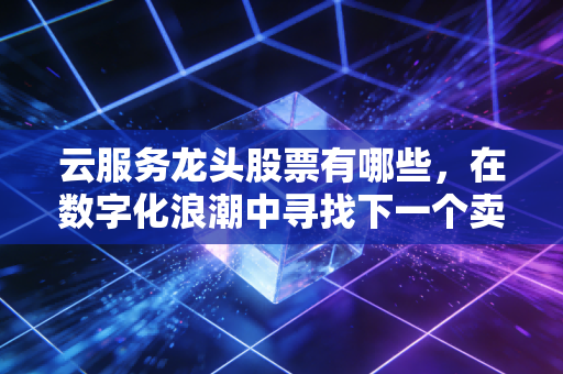 云服务龙头股票有哪些,在数字化浪潮中寻找下一个卖铲子的人