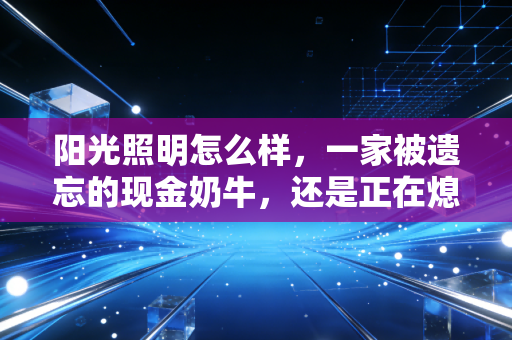 阳光照明怎么样,一家被遗忘的现金奶牛,还是正在熄灭的旧灯泡?