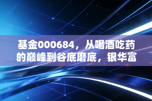 基金000684,从喝酒吃药的巅峰到谷底磨底,银华富裕主题还值得死守吗?