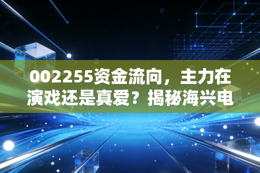 002255资金流向，主力在演戏还是真爱？揭秘海兴电力的资金博弈
