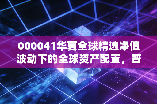 000041华夏全球精选净值波动下的全球资产配置,普通投资者的出海避坑指南与长期思考