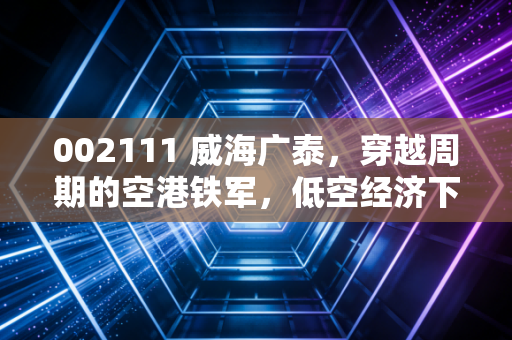 002111 威海广泰，穿越周期的空港铁军，低空经济下的隐形冠军