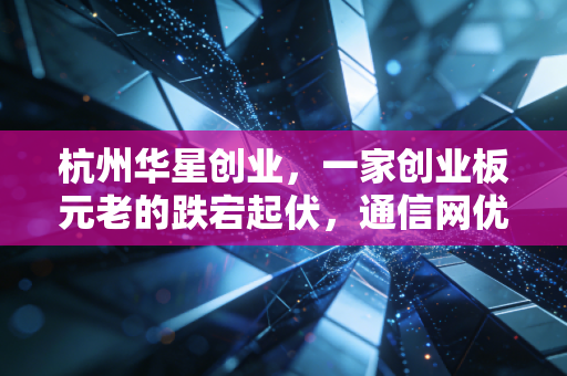 杭州华星创业，一家创业板元老的跌宕起伏，通信网优老兵的突围战