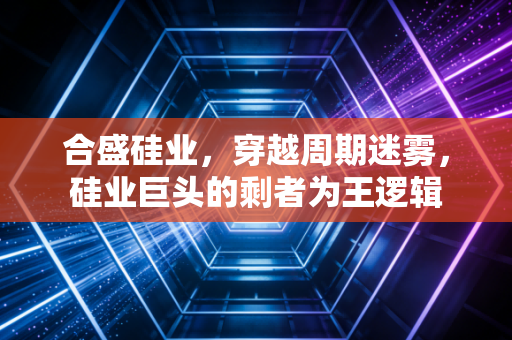 合盛硅业，穿越周期迷雾，硅业巨头的剩者为王逻辑