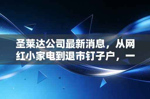 圣莱达公司最新消息，从网红小家电到退市钉子户，一场关于资本幻象的深刻反思