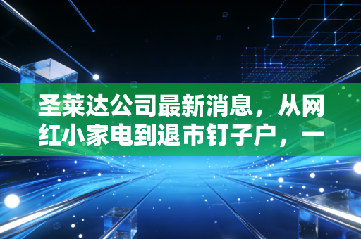 圣莱达公司最新消息，从网红小家电到退市钉子户，一场关于资本幻象的深刻反思