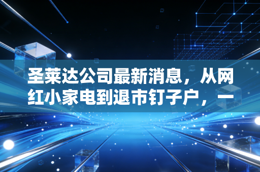 圣莱达公司最新消息，从网红小家电到退市钉子户，一场关于资本幻象的深刻反思