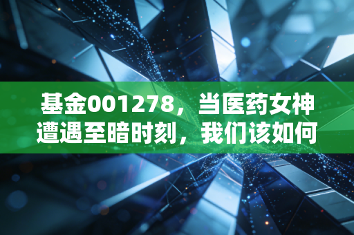 基金001278，当医药女神遭遇至暗时刻，我们该如何与工银瑞信前沿医疗共舞？