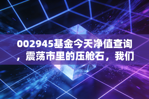 002945基金今天净值查询，震荡市里的压舱石，我们该如何拿稳？