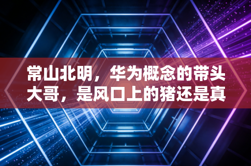 常山北明，华为概念的带头大哥，是风口上的猪还是真材实料？