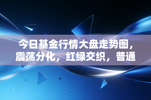 今日基金行情大盘走势图,震荡分化,红绿交织,普通投资者的过山车还要坐多久?