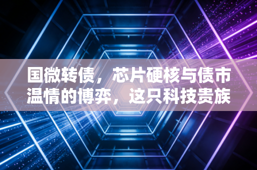 国微转债，芯片硬核与债市温情的博弈，这只科技贵族还值得持有吗？