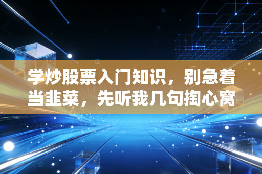 学炒股票入门知识,别急着当韭菜,先听我几句掏心窝子的话