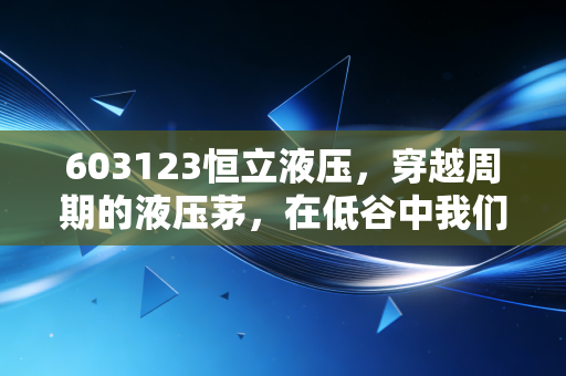 603123恒立液压,穿越周期的液压茅,在低谷中我们该如何寻找确定性?